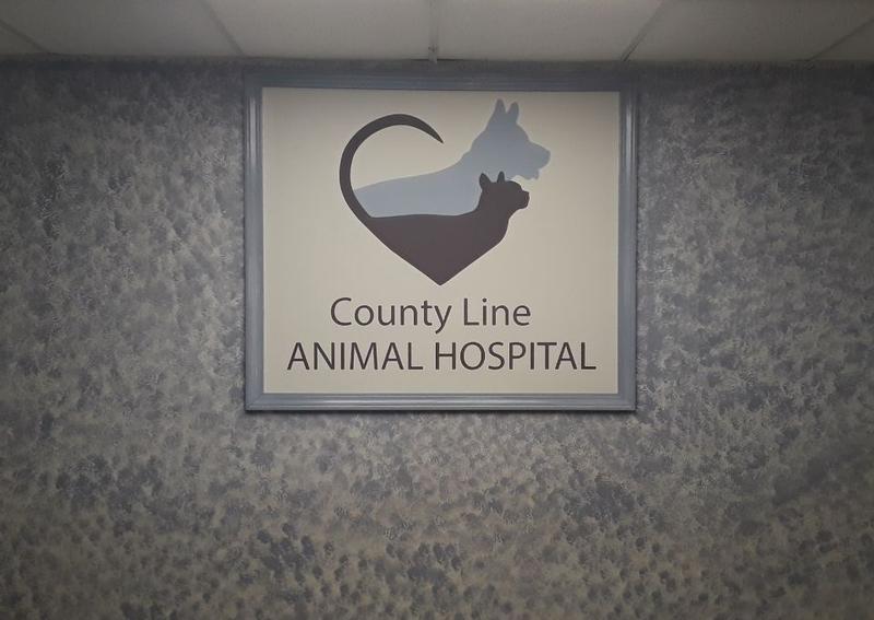 Carousel Slide 8: County Line Animal Hospital Logo