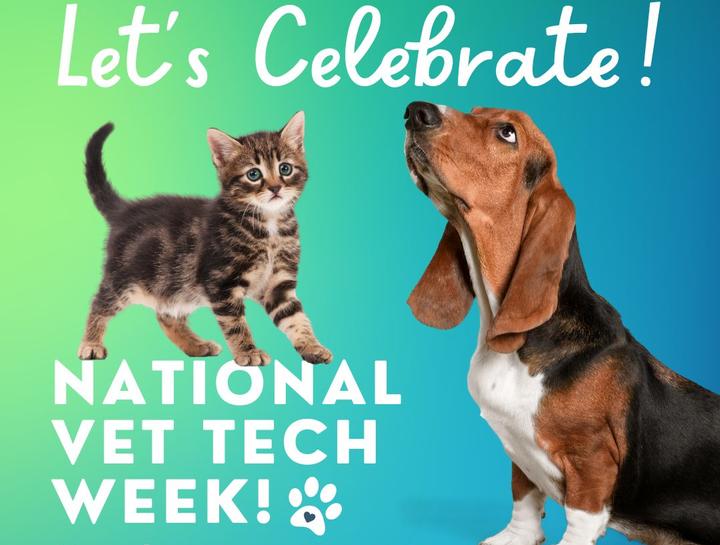 National Veterinary Technician Week